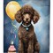 Edge Collections - 28" X 40" - Multicolor - Chocolate Standard Poodle Happy Birthday - 1 Piece